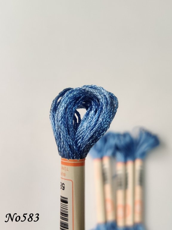 583 (DMC809) (1) (Medium)